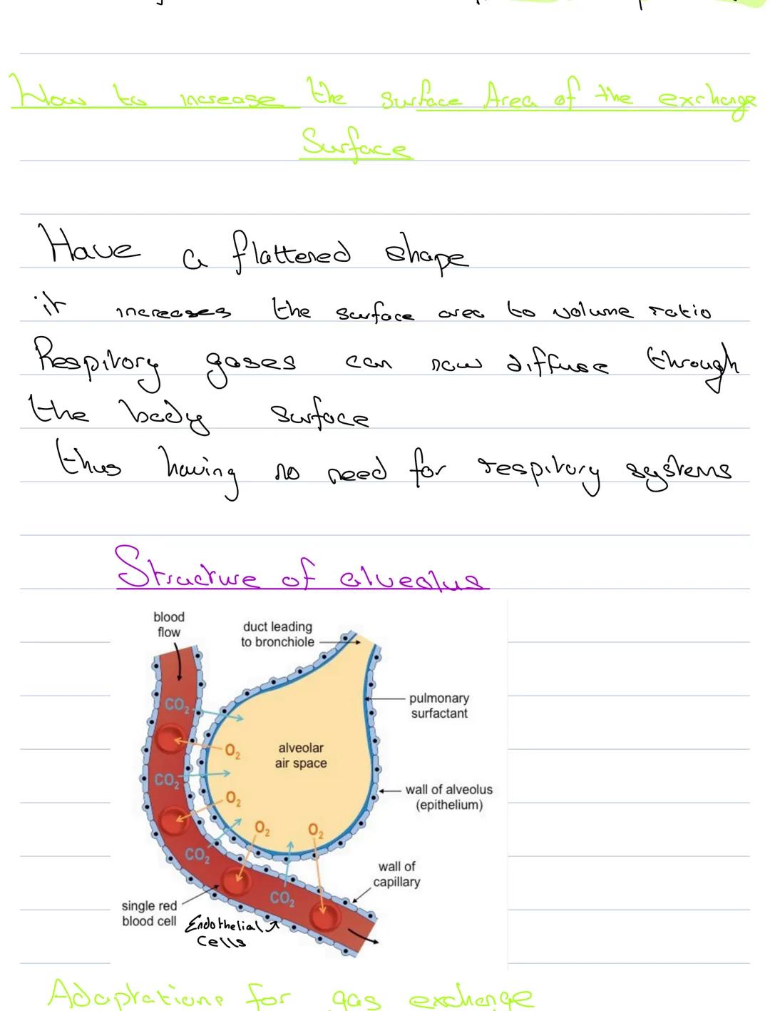 # Transport & Exchange mechaisims
We need to take in $O_2$ I get rid of
$CO_2$ to Stay alive
$O_2$ is used for respiration
In unicellular