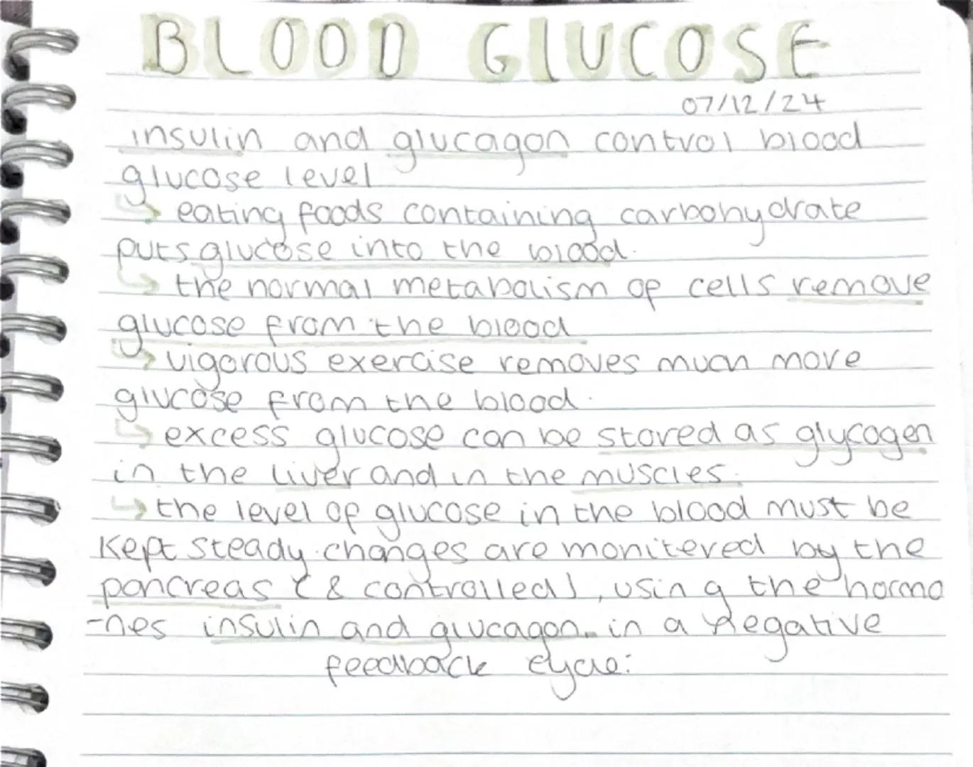 # BLOOD GLUCOSE
07/12/24
insulin and glucagon control blood
glucose level
eating foods containing carbohydrate
puts glucose into the blood.
