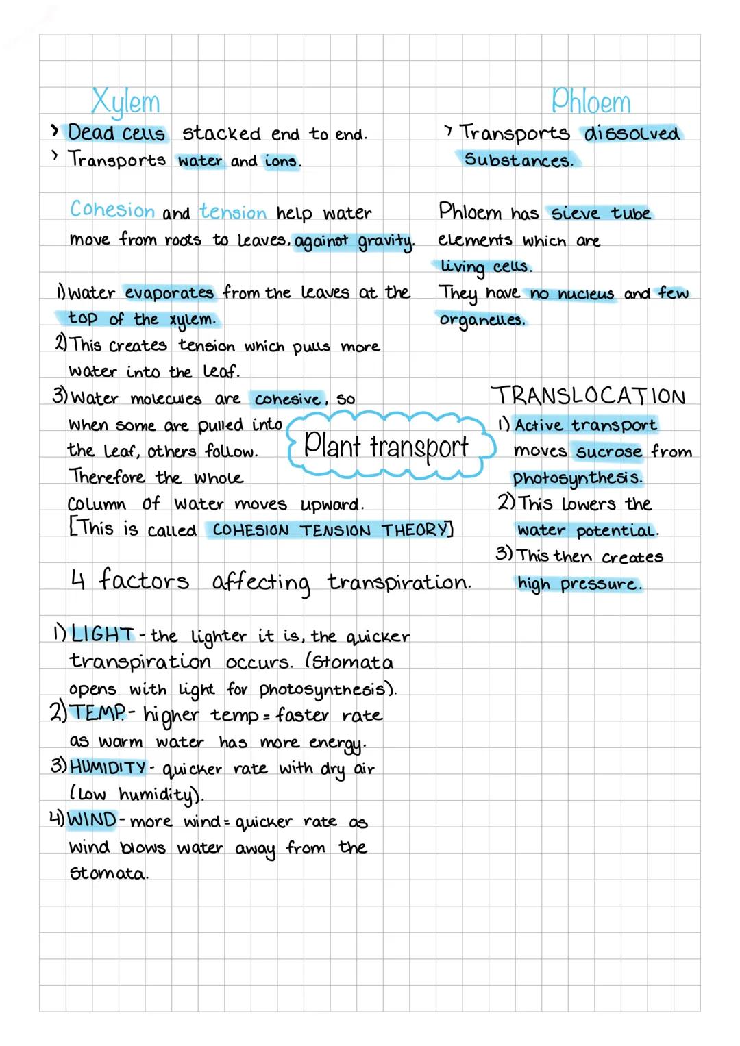 Xylem
> Dead cells stacked end to end.
> Transports water and ions.
Cohesion and tension help water
move from roots to leaves, against gravi