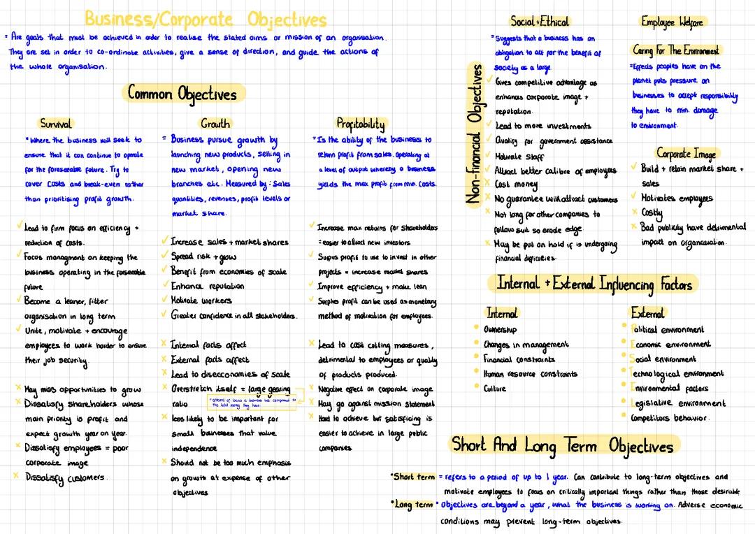 Business/Corportae Objectives