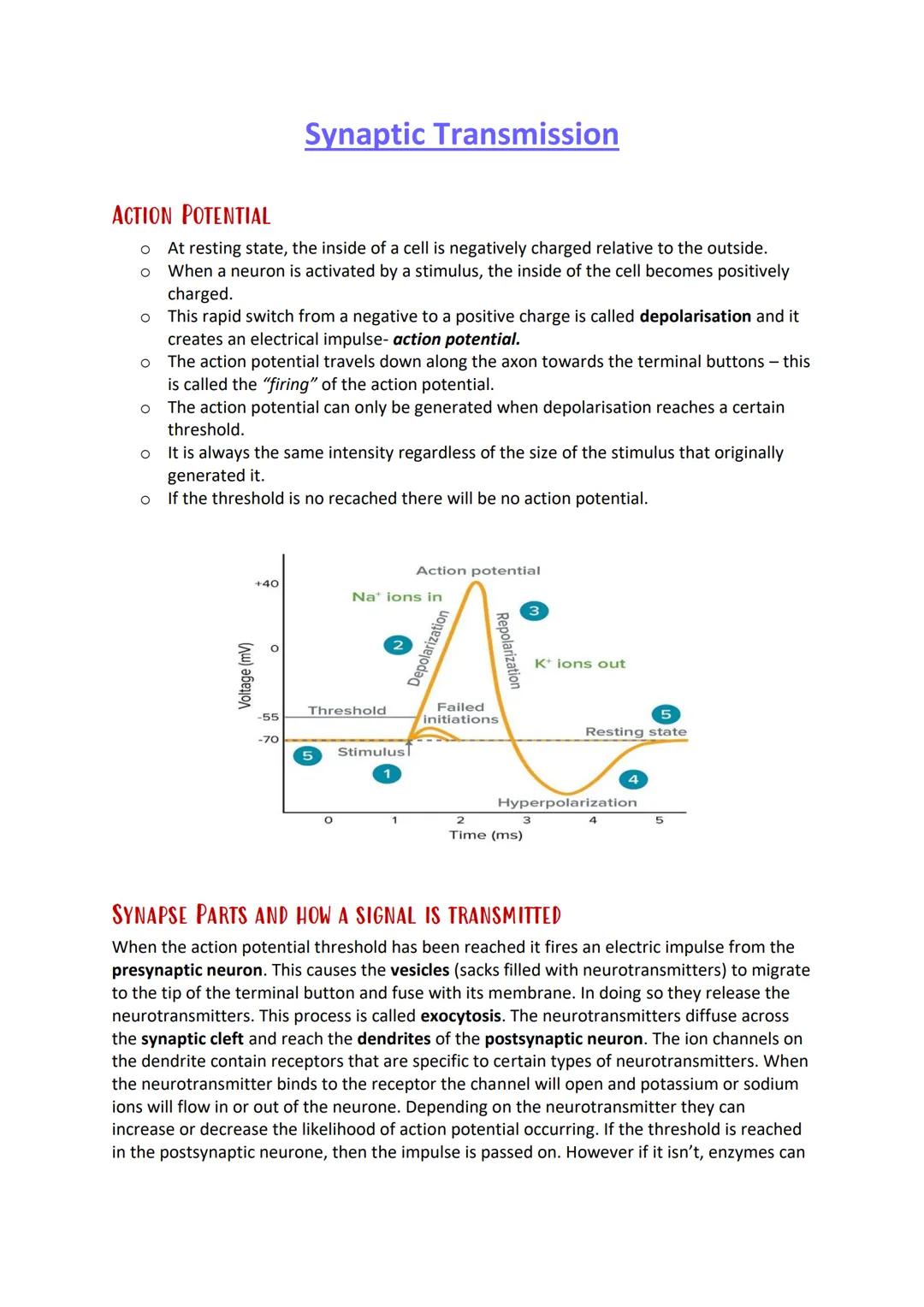 Synaptic Transmission