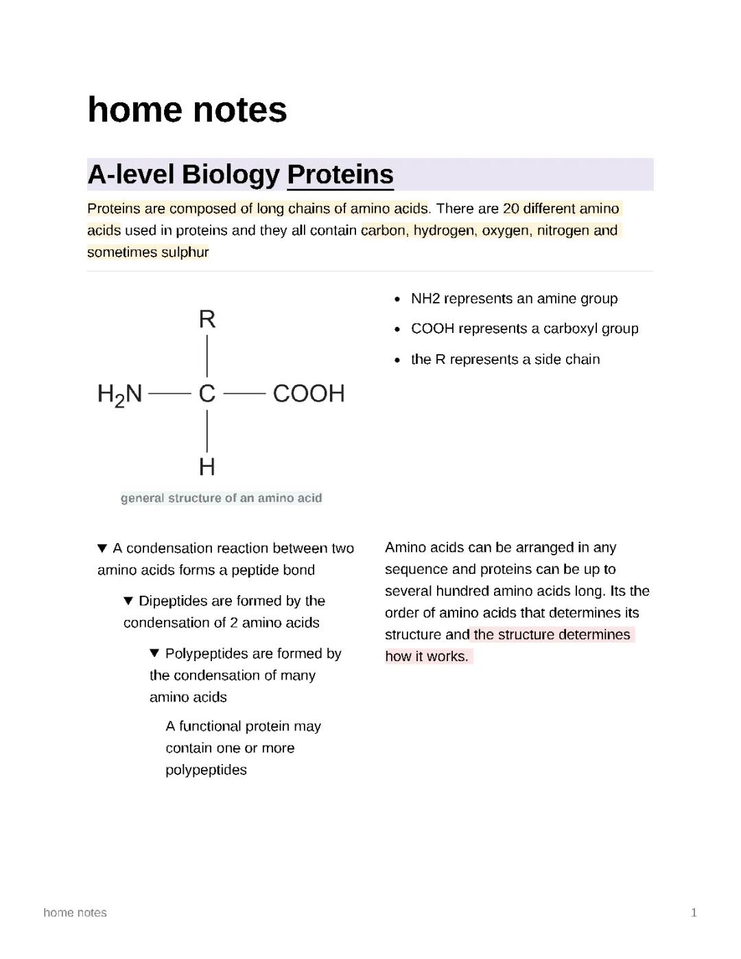 AQA A Level Biology Proteins notes