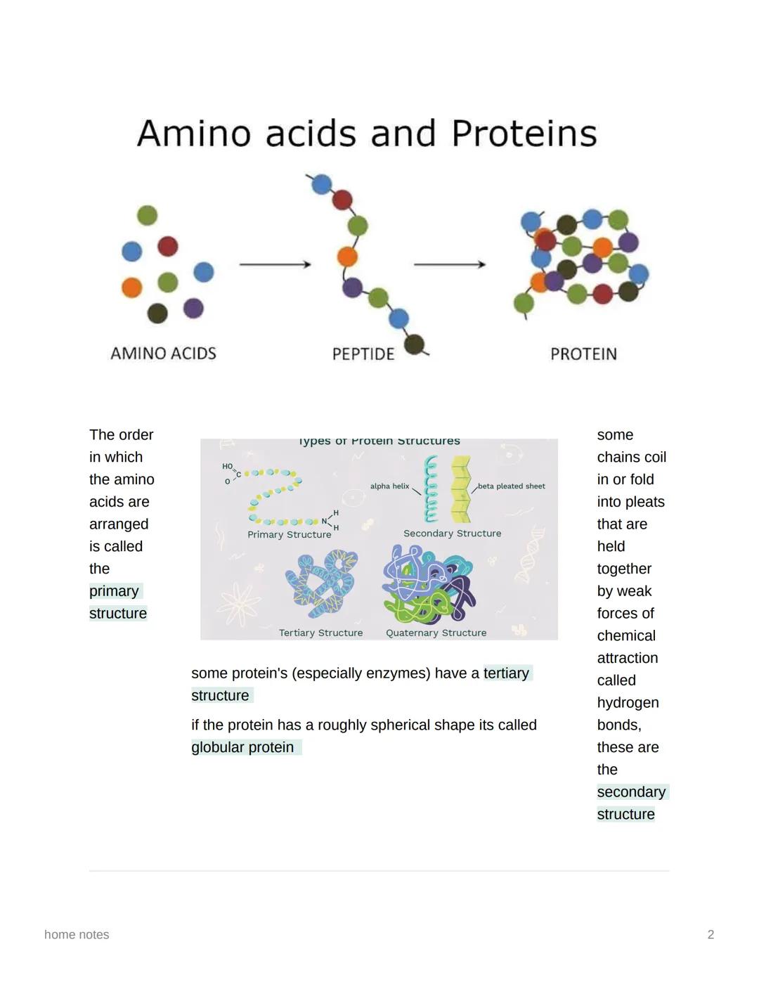 home notes
A-level Biology Proteins
Proteins are composed of long chains of amino acids. There are 20 different amino
acids used in proteins