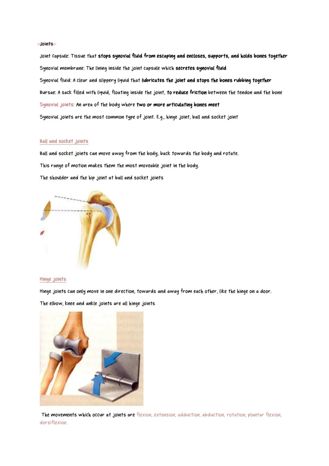 # Physical Education revision notes
Scapula
Jaw bone
Cranium
Clavicle
(collar bone)
Humerus
Vertebrae
Phalanges
Metacarpals
Radius
Carpals