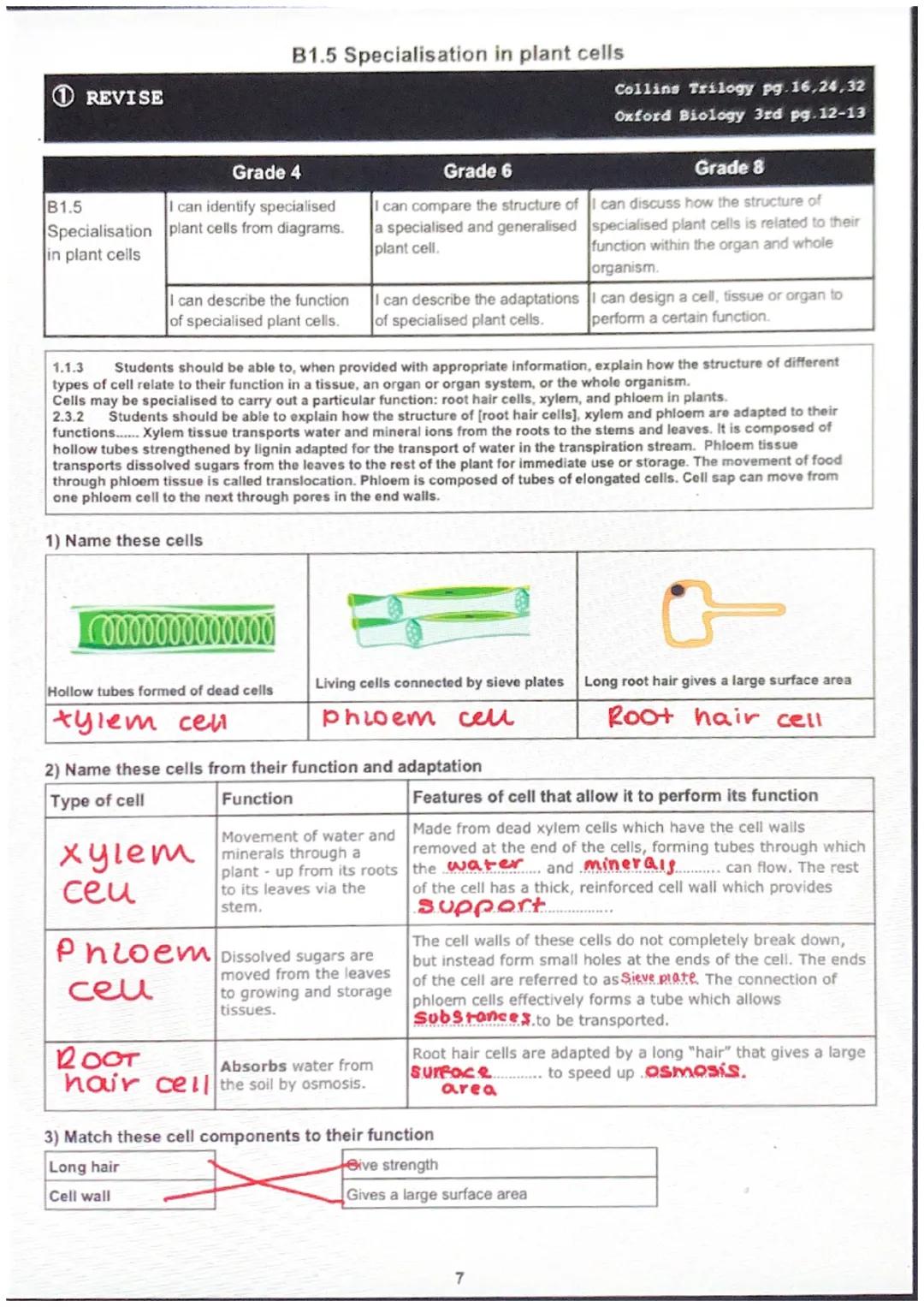 ①REVISE
B1.4
B1.4 Specialisation in animal cells
| Grade 4 | Grade 6 | Grade 8 |
|---|---|---|
| I can identify specialised | I can explai
