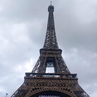 user profile picture