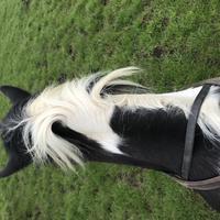 user profile picture