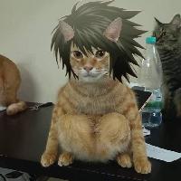 user profile picture