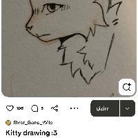 user profile picture